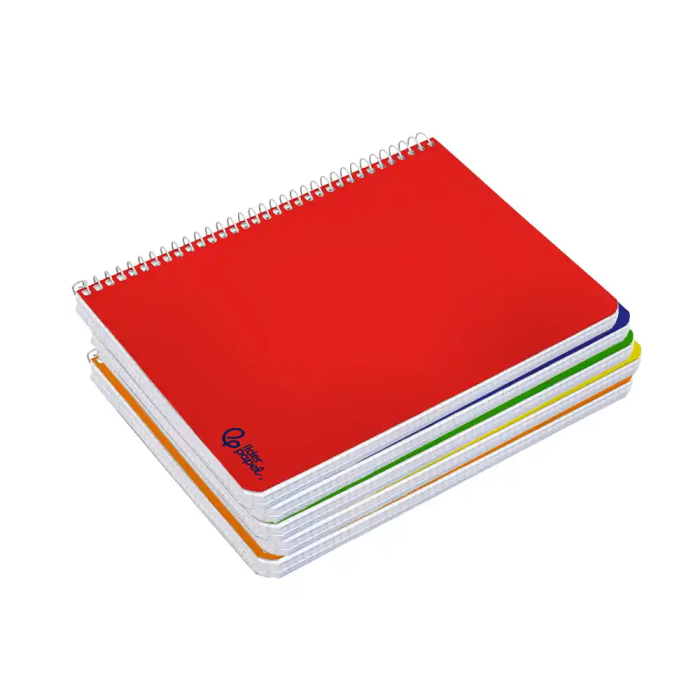 Liderpapel Cuaderno Espiral A4 Wonder Tapa Plástica 80 Hojas 90gr Cuadro 4mm con Margen Pack 6 Colores Surtidos 4