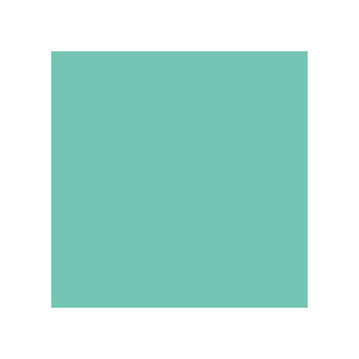 Cricut 2007718 Rollo de vinilo de termotransferencia, Menta, 305 mm x 1220 mm 1 Cricut 2007718 Rollo de vinilo de termotransferencia, Menta, 305 mm x 1220 mm 1