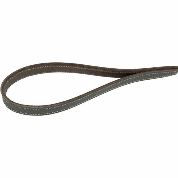 Correa para Perro Trixie Gris 1 m L/XL 1 Correa para Perro Trixie Gris 1 m L/XL 1