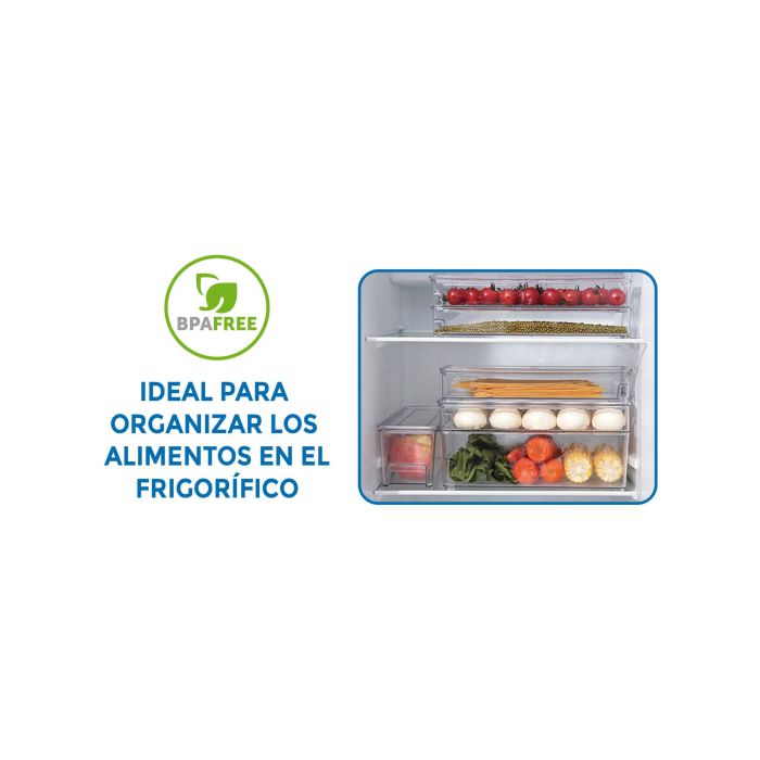 Organizador con tapa Quttin 32.5 x 10 x 5.5 cm (12 Unidades) 10 Organizador con tapa Quttin 32.5 x 10 x 5.5 cm (12 Unidades) 10