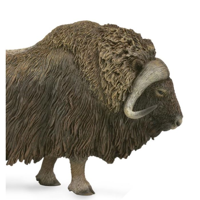 Collecta 88837 Figura Buey Almezclero Animal Ártico, Talla L, Modelo Detallado con Pelaje Grueso para Niños +3 Años 1 Collecta 88837 Figura Buey Almezclero Animal Ártico, Talla L, Modelo Detallado con Pelaje Grueso para Niños +3 Años 1