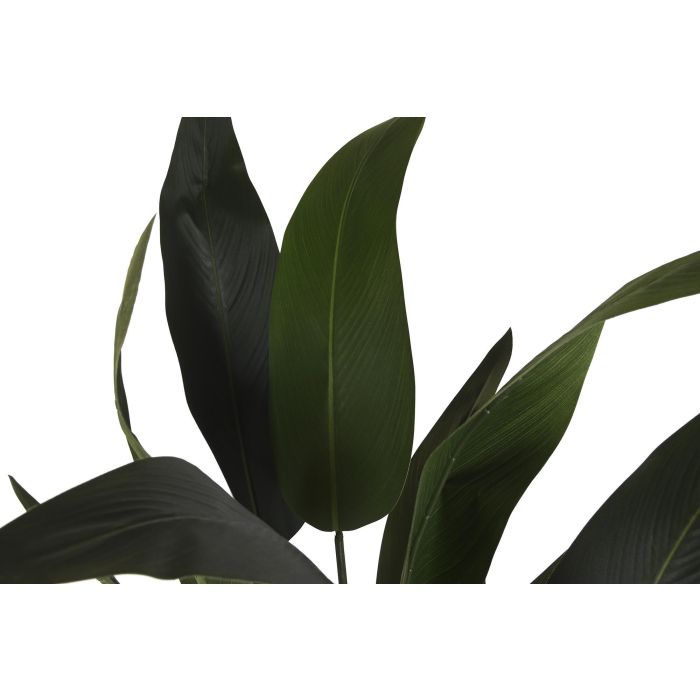 DKD Home Decor Planta Tropical Ave de Paraiso Verde 80 x 180 x 80 cm (2 Unidades) 1 DKD Home Decor Planta Tropical Ave de Paraiso Verde 80 x 180 x 80 cm (2 Unidades) 1