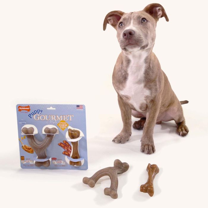Nylabone Mordedor de Nylon Resistente para Cachorros, Pack Doble Gourmet Sabor Bacon y Mantequilla de Cacahuete, Talla S (Hasta 11 kg) 1 Nylabone Mordedor de Nylon Resistente para Cachorros, Pack Doble Gourmet Sabor Bacon y Mantequilla de Cacahuete, Talla S (Hasta 11 kg) 1