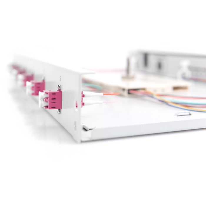 DIGITUS LWL Spleißbox 1HE bestückt 6x LC DX OM4 grau 5