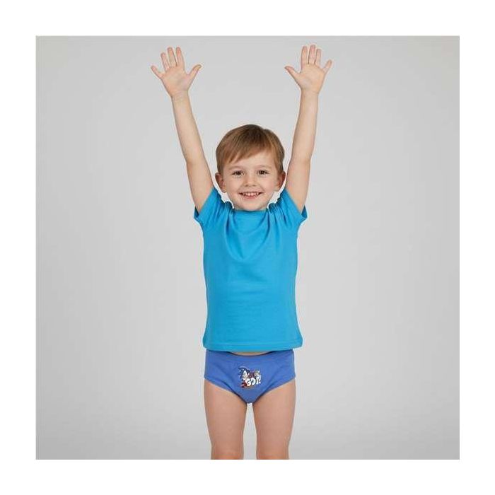 Cerdá Pack Calzoncillos Single Jersey 3 Piezas Sonic T06/08 Modelos Surtidos 6-8 Años 5