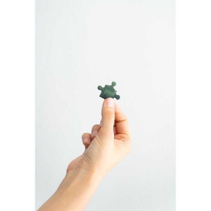 Puzzle Harry Potter y la Camara Secreta Harry Potter 500pzs 1 Puzzle Harry Potter y la Camara Secreta Harry Potter 500pzs 1