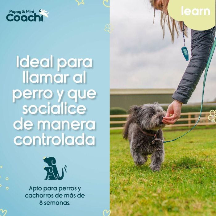 Arnés para Perro Coachi 2 Arnés para Perro Coachi 2