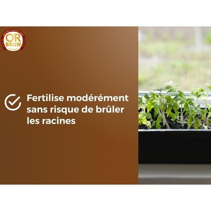 Or Brun OBRTSEM6U Tierra para Semillas Oro Marrón 6L para Semillero, Sustrato Profesional con Drenaje Mejorado y Óptima Retención de Agua 5 Or Brun OBRTSEM6U Tierra para Semillas Oro Marrón 6L para Semillero, Sustrato Profesional con Drenaje Mejorado y Óptima Retención de Agua 5