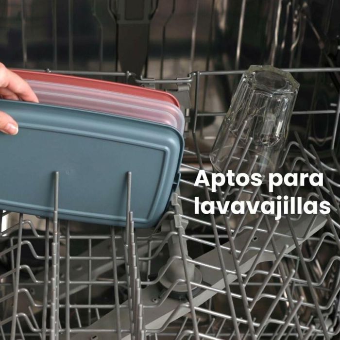 Fiambrera Ibili 689210 2