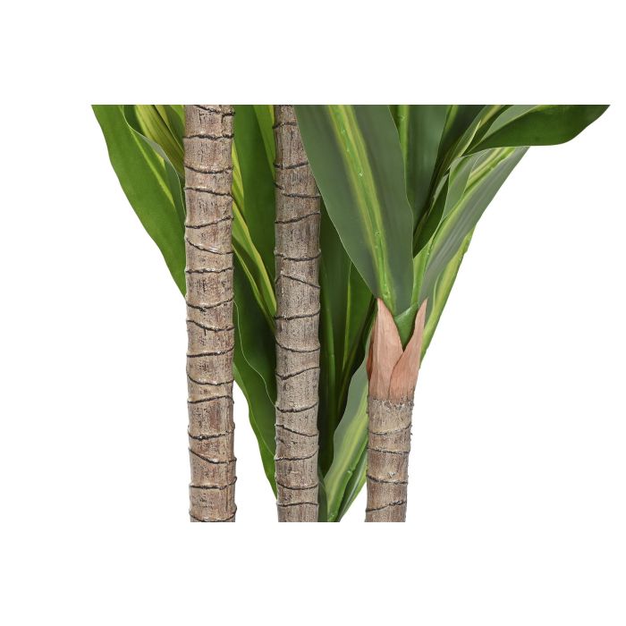 Planta DKD Home Decor Verde 80 x 150 x 80 cm (2 Unidades) 2 Planta DKD Home Decor Verde 80 x 150 x 80 cm (2 Unidades) 2