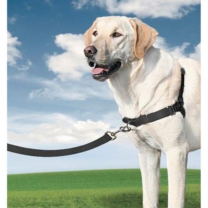 Nayeco Arnés Easy Walk Mediano Negro 56-81 cm Correa Dorsal Nylon Correa Frontal con Anilla para Perro 1