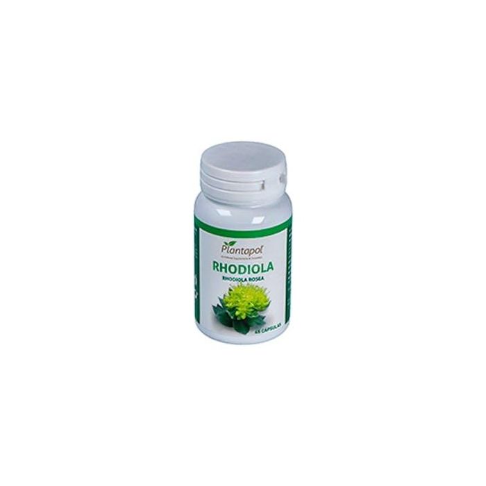 Rhodiola