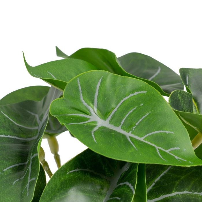 Singonio Verde "Pvc" 20 X 17 X 18 cm