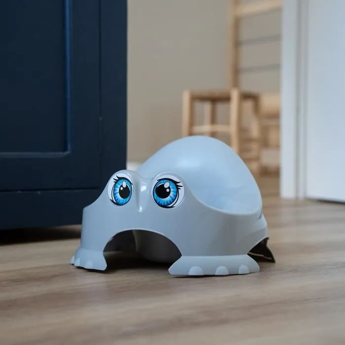 Thermobaby Maceta divertida - Flor azul 1