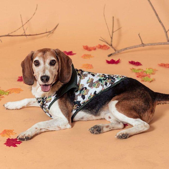 Abrigo acolchado para perro XS the mandalorian talla XS 3