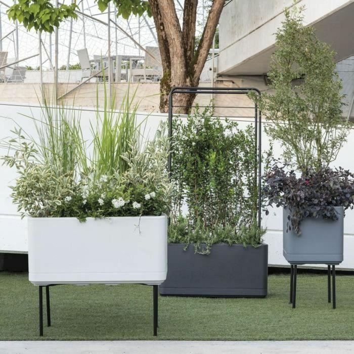 Deroma 9HN1ZSZ217 Maceta Cubo Cosmo Gris Ceniza con Autorriego y Ruedas de 38 cm 5 Deroma 9HN1ZSZ217 Maceta Cubo Cosmo Gris Ceniza con Autorriego y Ruedas de 38 cm 5
