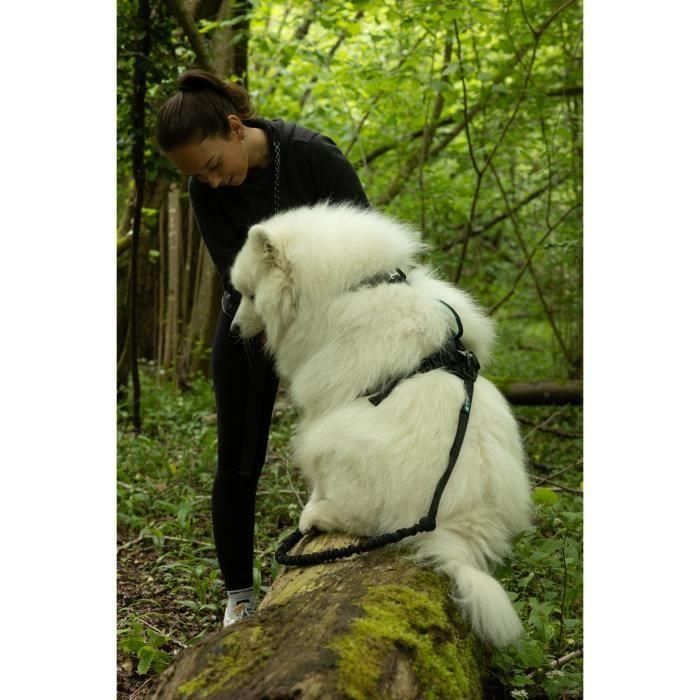 Arnés para perros - SYMBIOZ - S - Negro / Azul 4 Arnés para perros - SYMBIOZ - S - Negro / Azul 4