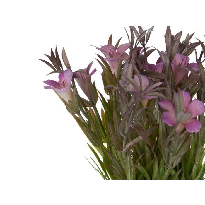 Maceta Terracota Baja Con Flores Surtidos Colores Ibergarden 15X23CM (12 Unidades) 2 Maceta Terracota Baja Con Flores Surtidos Colores Ibergarden 15X23CM (12 Unidades) 2