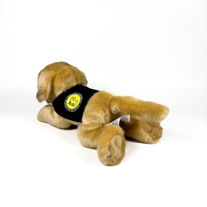 Peluche Labrador Canela 21Cm Con Chaleco 939D00247 Bocalan 4