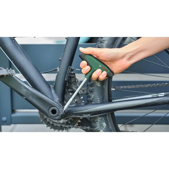 Bosch Juego de 19 puntas de destornillador con mango en T, vástago de 100 mm (BOS4059952735337)