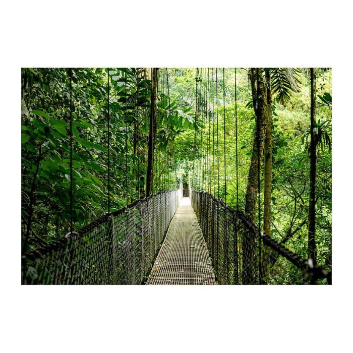 HP EliteDesk 8 Mini G1a AMD Ryzen AI 5 340 32GB RAM 512GB SSD W11P 1J Gar 12