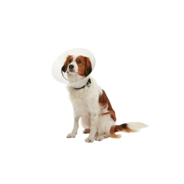 Buster Clic Collar Juego 7,5-30 cm 7 Unidades Kruuse