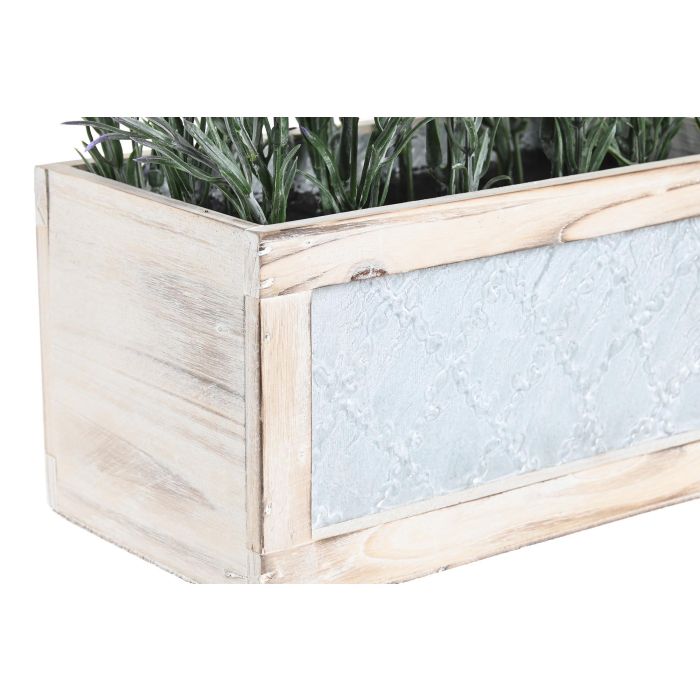 Planta Shabby DKD Home Decor Lila 15 x 35 x 33 cm (2 Unidades) 2 Planta Shabby DKD Home Decor Lila 15 x 35 x 33 cm (2 Unidades) 2