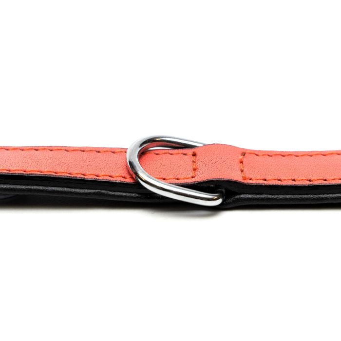 Gloria Collar Piel Auténtica Acolchado Suave Triple Capa 30 cm x 15 mm Coral para Perro Cómodo y Resistente 1