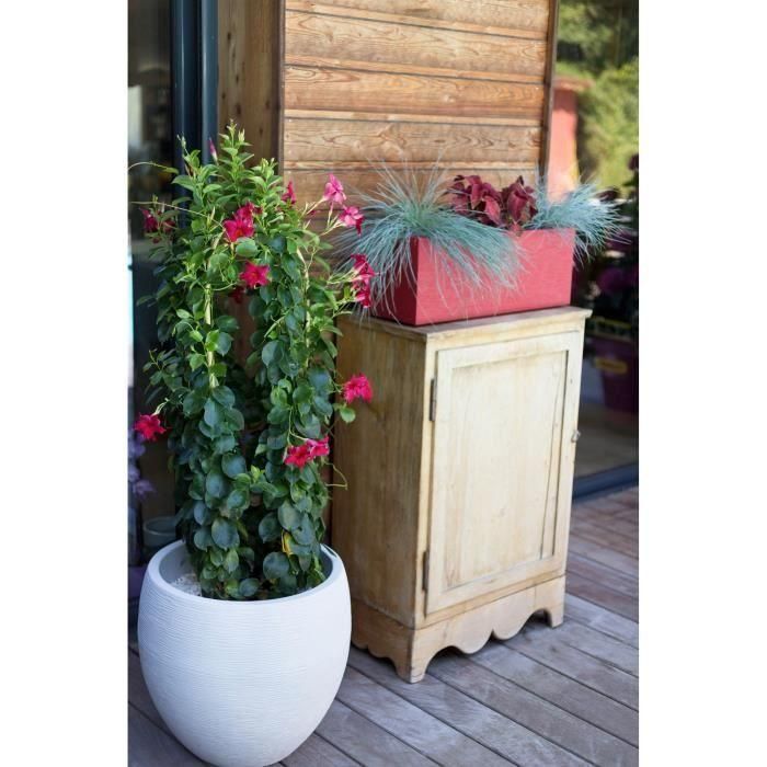 EDA Graphit maceta redonda Ø50cm - Capacidad 46L - Blanco encalado 5 EDA Graphit maceta redonda Ø50cm - Capacidad 46L - Blanco encalado 5