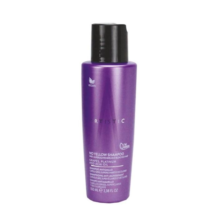 No Yellow Shampoo 100 mL Artistic Hair