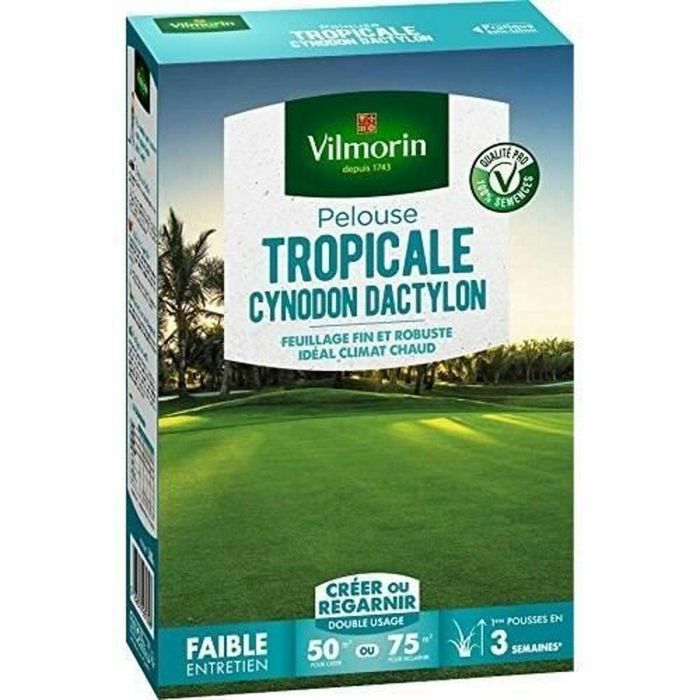 Vilmorin VIL3182670261398 Semillas de hierba marina Les Tropicales Cynodon Dactylon - 500 g 1