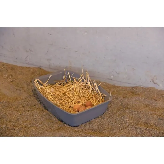 Kerbl Caja Nido para Gallinas 52 x 39 x 39 cm KER4018653391839 3