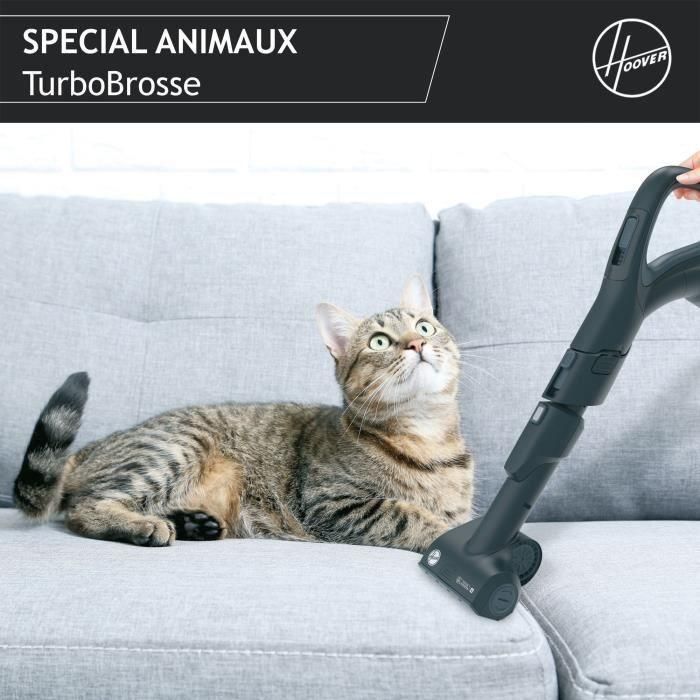 Aspirador de Bidón Sin Bolsa - HOOVER - HP720PET - 850 W - 68 dBA - Cassette 2 L - Especial para parquet y animales 4 Aspirador de Bidón Sin Bolsa - HOOVER - HP720PET - 850 W - 68 dBA - Cassette 2 L - Especial para parquet y animales 4