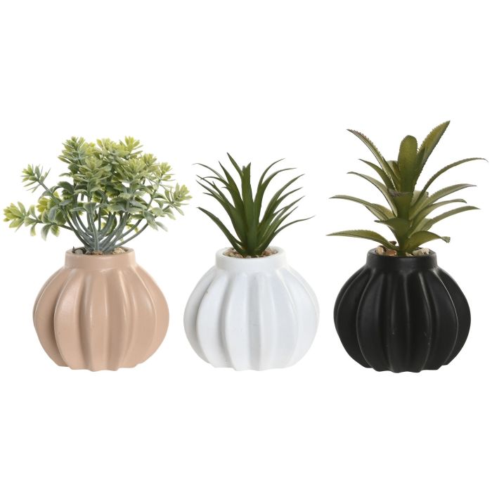 Planta Scandi DKD Home Decor Crema Negro 8 x 13 x 8 cm (6 Unidades) 0 Planta Scandi DKD Home Decor Crema Negro 8 x 13 x 8 cm (6 Unidades) 0