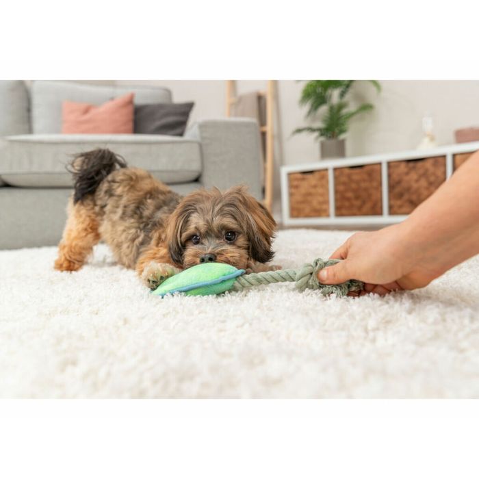 Peluche para perros Trixie Azul Verde Poliéster 22 cm 2 Peluche para perros Trixie Azul Verde Poliéster 22 cm 2