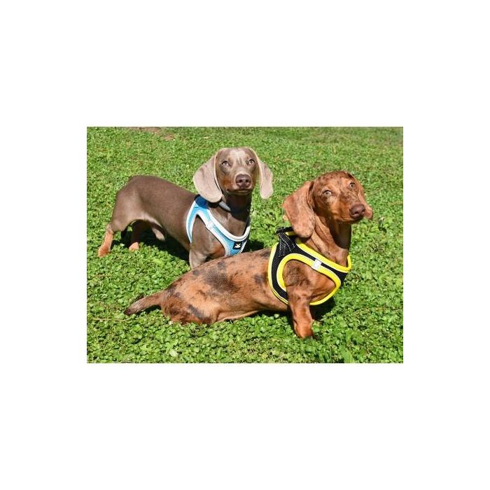 Nayeco Arnés X-Trm Neo Negro XXS para Perros, Ajustable 30-35 cm con Tejido Transpirable y Reflectante