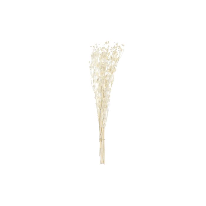DKD Home Decor Ramo de Flor Seca Pristimera Crema, 12 Unidades, 15x65x15 cm. Pack de Bouquets Decorativos para Centro de Mesa o Jarrones de Hogar.