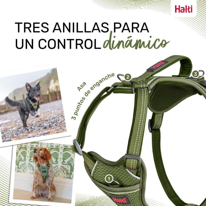 Halti Anatomy Arnés Verde S Cuerpo 39-56 cm 4