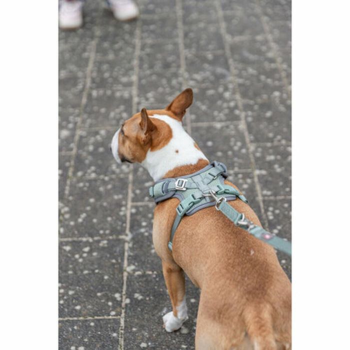 Arnés para Perro Trixie Premium FlexMesh S-M 5 Arnés para Perro Trixie Premium FlexMesh S-M 5
