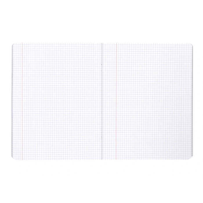 Liderpapel Libreta Scriptus A5 48 Hojas 90gr Cuadro 4mm Con Margen Color Verde 6