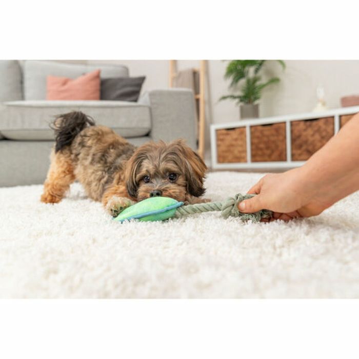 Peluche para perros Trixie Azul Verde Poliéster 22 cm 1 Peluche para perros Trixie Azul Verde Poliéster 22 cm 1
