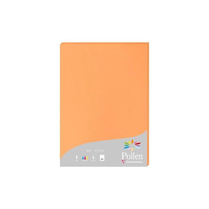 Papel Clairefontaine Pollen A4 210G 25H Clementina