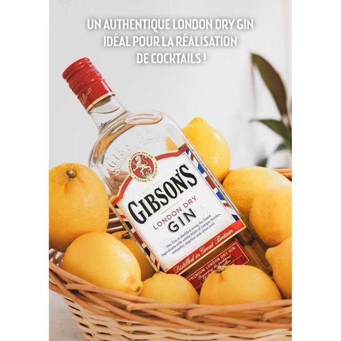 Ginebra Gibson 70cl 4 Ginebra Gibson 70cl 4