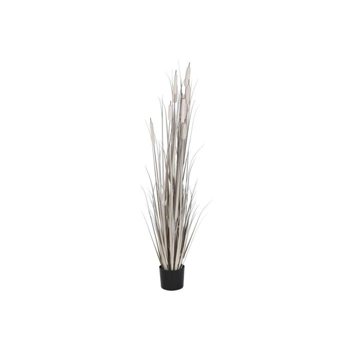 Planta Decorativa DKD Home Decor Juncos (45 x 45 x 150 cm) 0 Planta Decorativa DKD Home Decor Juncos (45 x 45 x 150 cm) 0