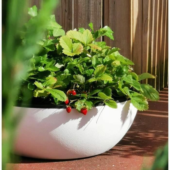 Maceta Riviera Blanco Ø 40 cm 1 Maceta Riviera Blanco Ø 40 cm 1