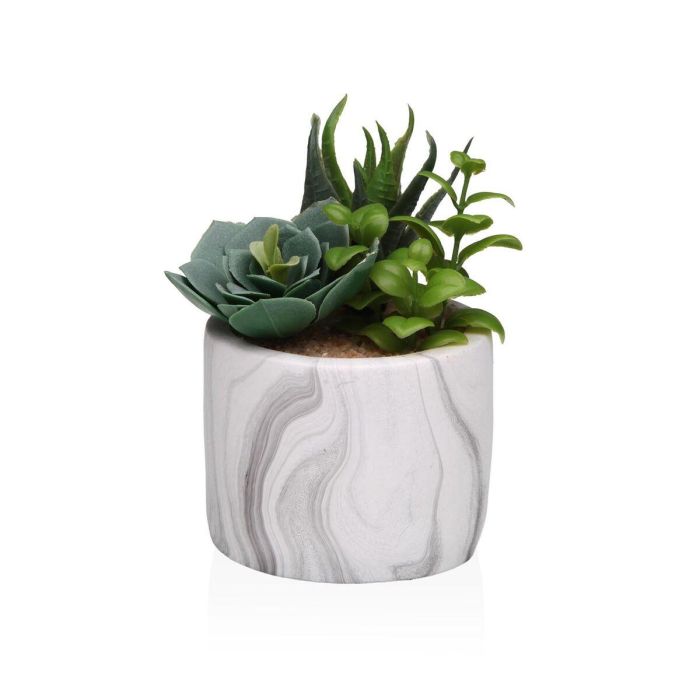 Planta Decorativa Versa Cerámica Plástico Fusion Suculenta 9 x 15 x 9 cm 0 Planta Decorativa Versa Cerámica Plástico Fusion Suculenta 9 x 15 x 9 cm 0