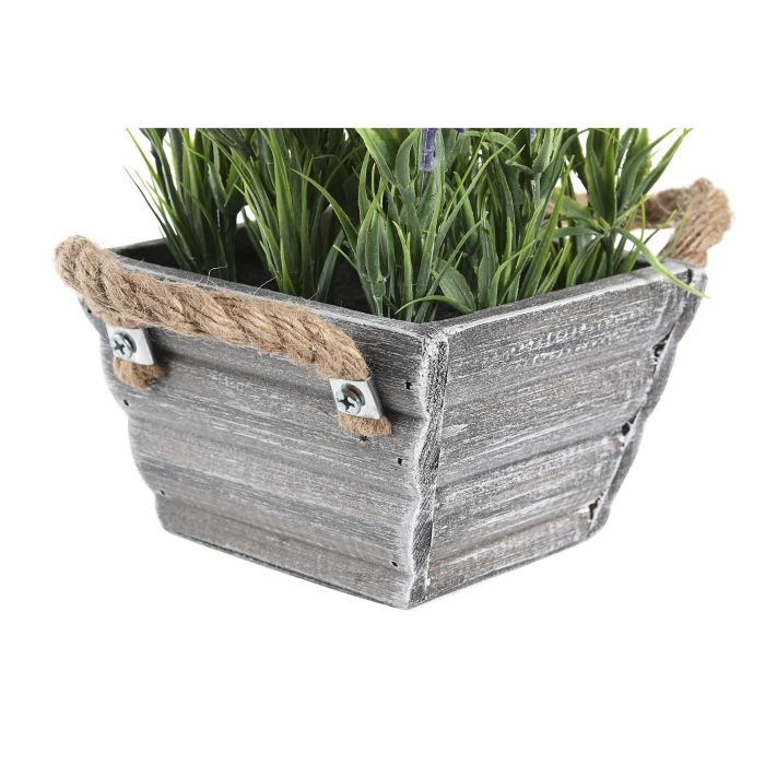Planta Shabby DKD Home Decor Lila 15 x 20 x 15 cm (6 Unidades) 2 Planta Shabby DKD Home Decor Lila 15 x 20 x 15 cm (6 Unidades) 2