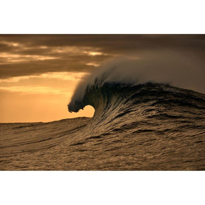 Montura de Gafas Mujer O'Neill ONO-4524 52102 8