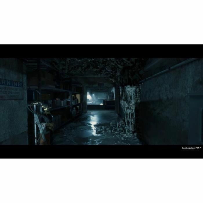 Sony Interactive Entertainment DEATHSTRANPS5 Death Stranding Director's Cut Juego de Acción para PlayStation 5 1