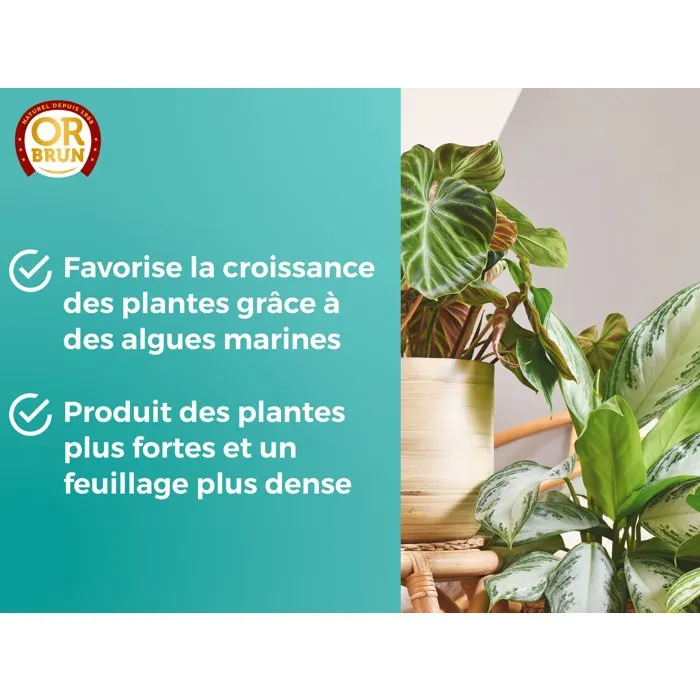 Or Brun Fertilizante para Plantas Verdes de Interior, 250 ml 1 Or Brun Fertilizante para Plantas Verdes de Interior, 250 ml 1